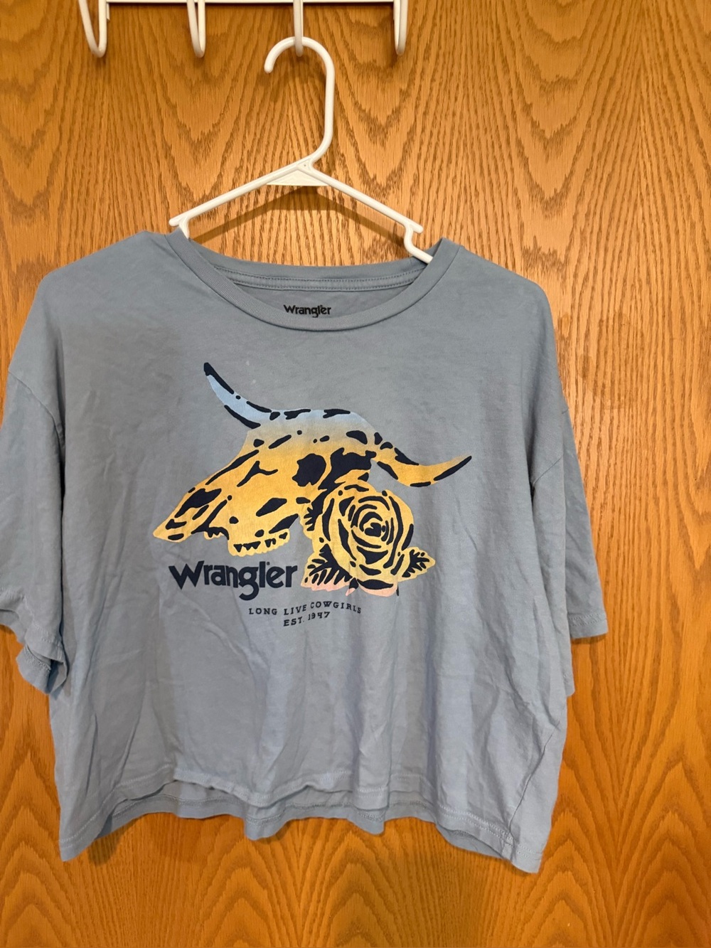 Wrangler Light Blue Graphic Crop Tee - Baggy fit (small)